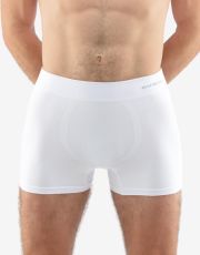 Pánske boxerky s dlhšou nohavičkou 54005P GINA