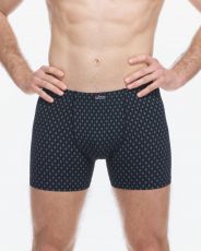 Pánske boxerky s dlhšou nohavičkou 74179P GINA