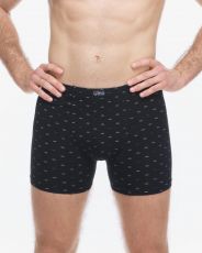 Pánske boxerky s dlhšou nohavičkou 74180P GINA