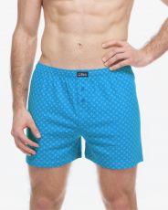 Pánske voľné trenírky 75213P GINA