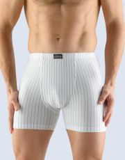 Pánske boxerky s dlhšou nohavičkou 74105P GINA