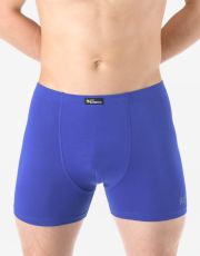 Pánske boxerky s dlhšou nohavičkou 74163P GINA