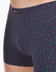 Pánske kratšie boxerky 73137P GINA sladkého drievka akvamarín