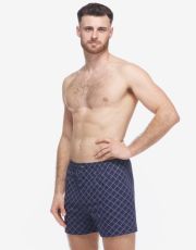 Pánske voľné trenírky 75218P GINA sladkého drievka šedá