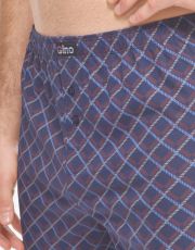 Pánske voľné trenírky 75218P GINA sladkého drievka šedá